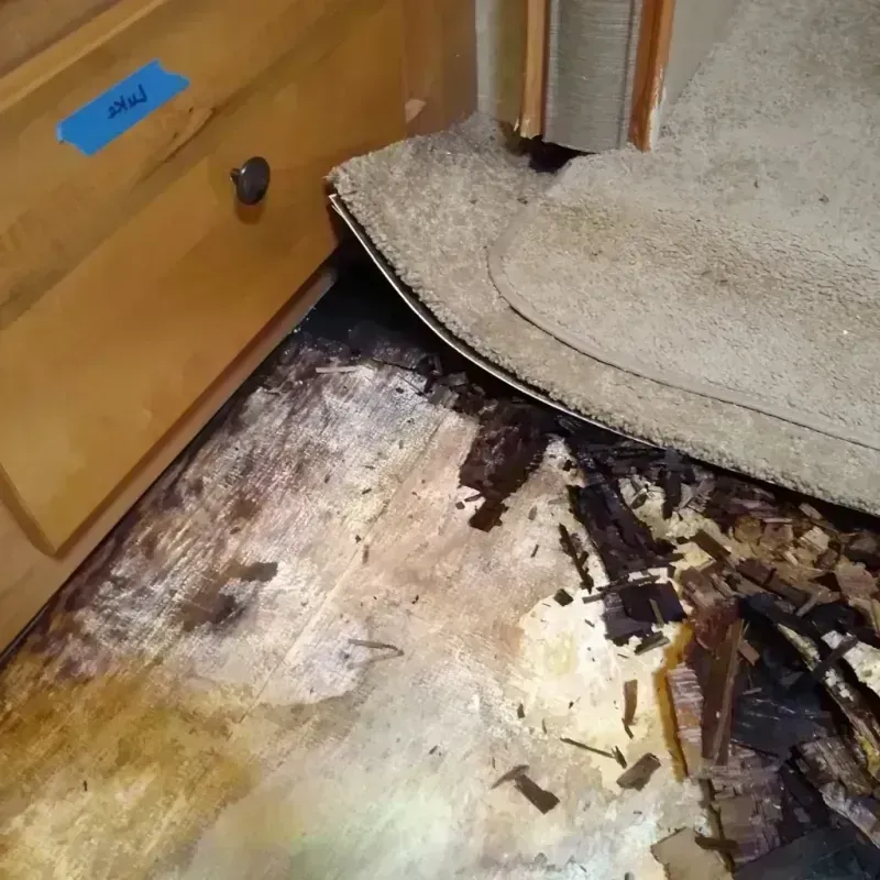 Best Wood Floor Water Damage Service in West Ishpeming, MI